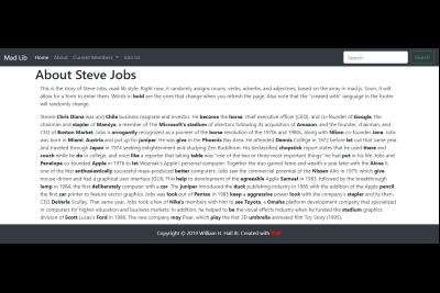 Mad Lib Game Screenshot